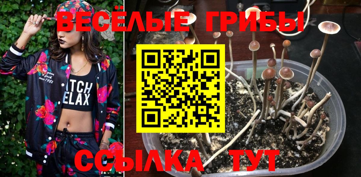 Псилоцибиновые грибы мухоморы  Вход с VPN  Углич 